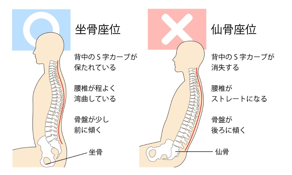 腰痛予防の座り方